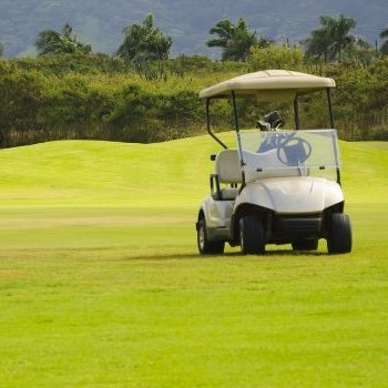 3 Golf Cart Windshield Facts You Should Know About - GOLFCARTSTUFF.COM™