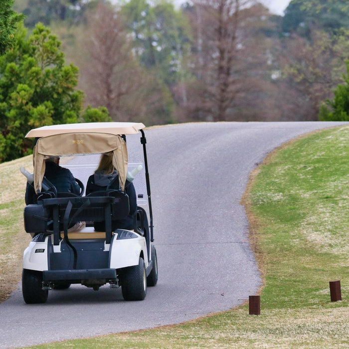 Winter Golf Cart Storage Ideas to Prevent Damage