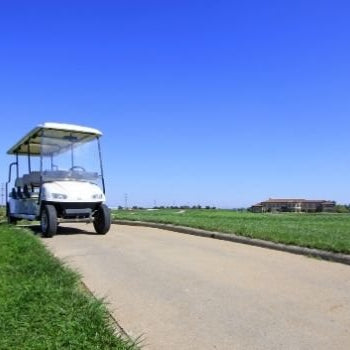 How To Choose the Right Golf Cart Battery Charger - GOLFCARTSTUFF.COM™