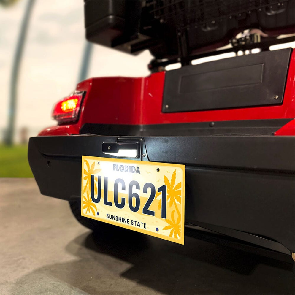 Golf Cart License Plate Bracket with LED Light —